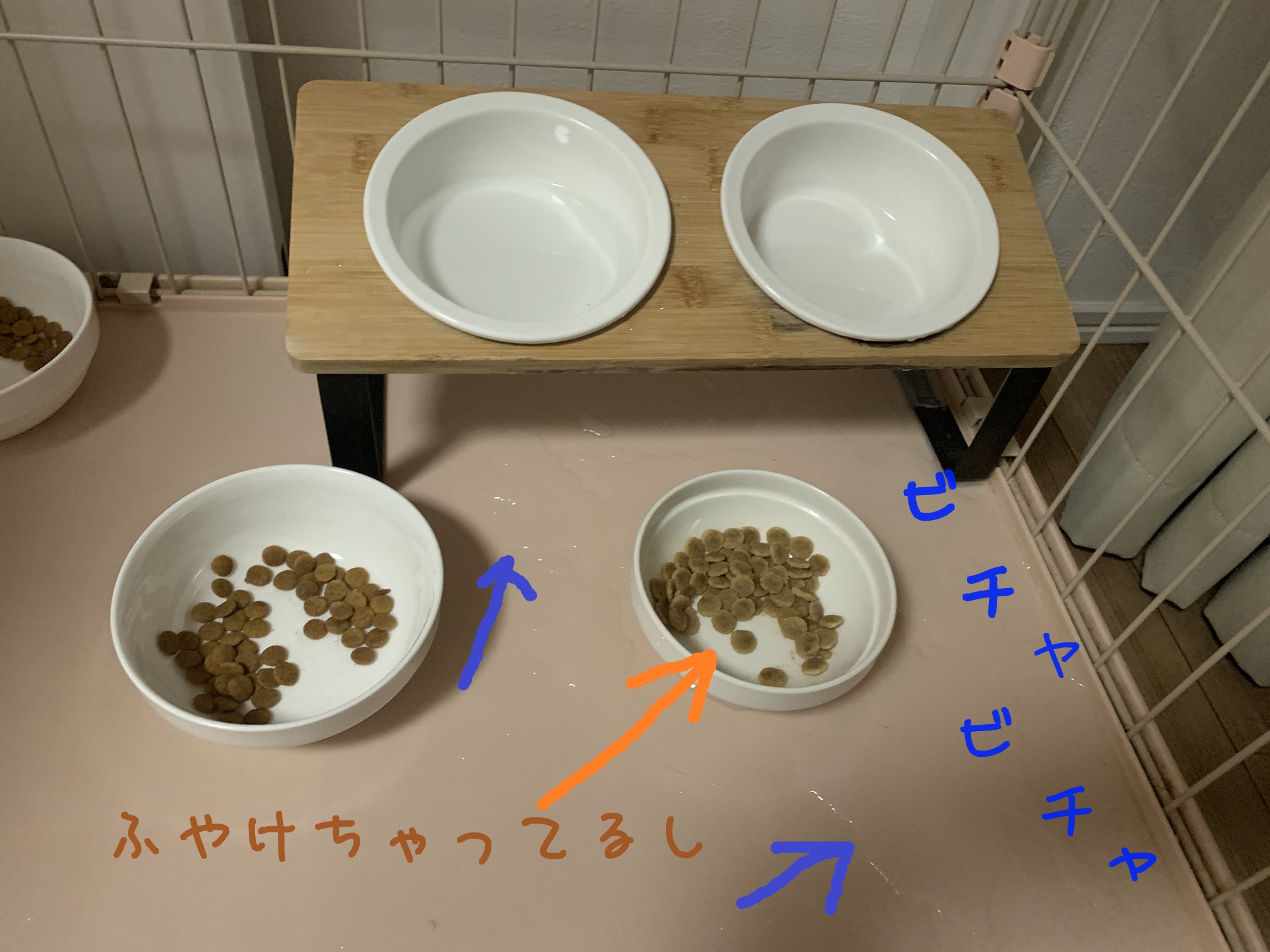 びちゃびちゃ