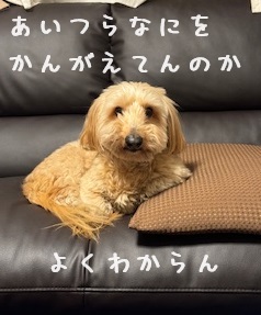 レオの言い分