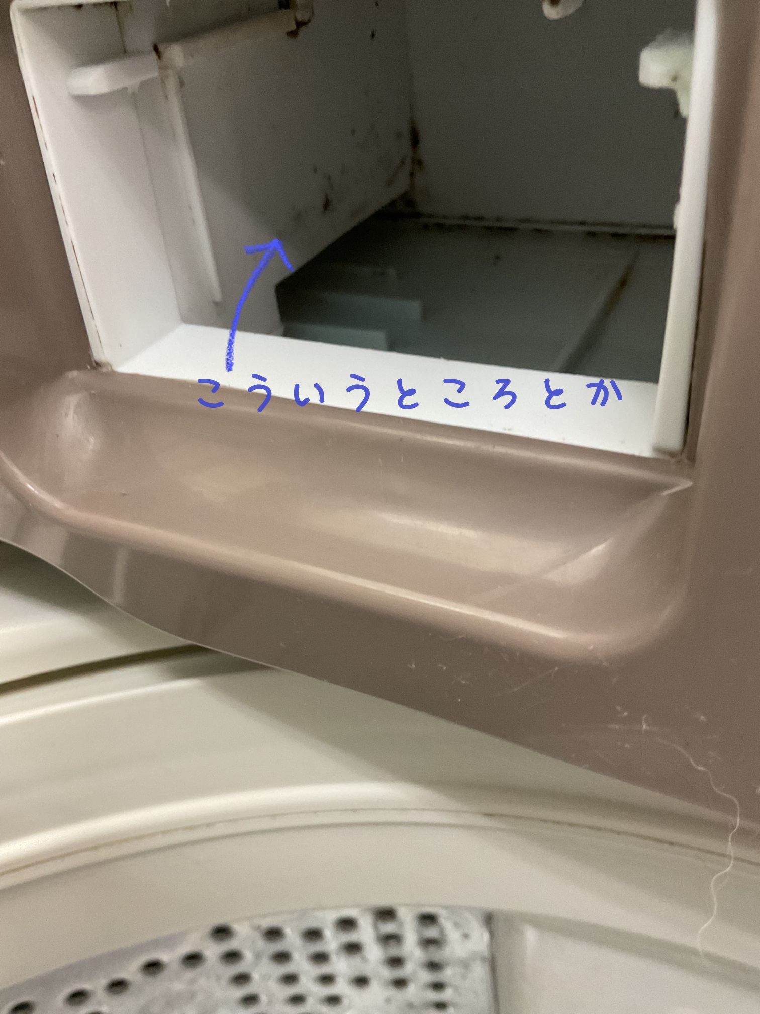 かびるんるん