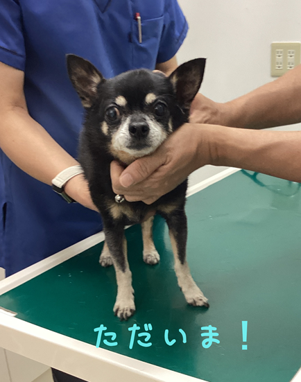 帰還