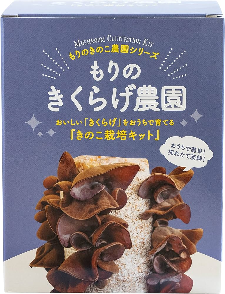 キット