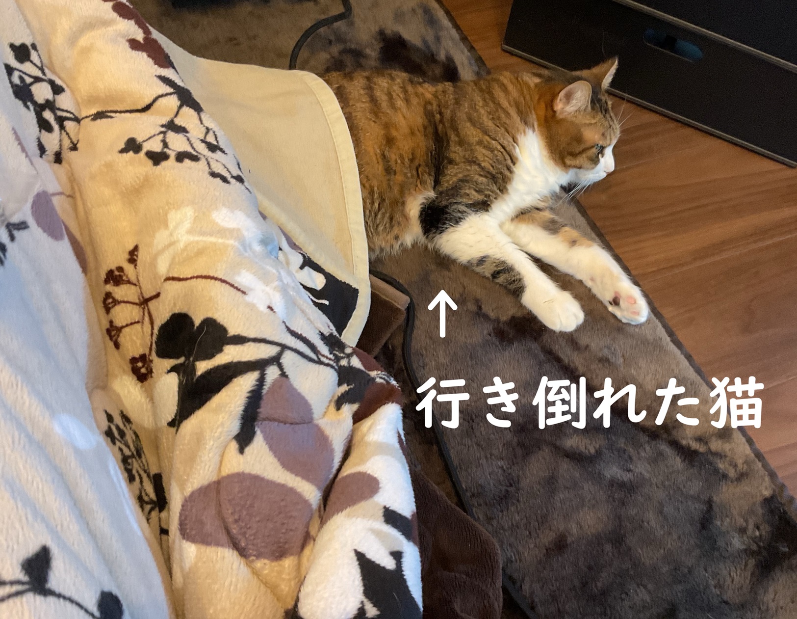 行き倒れ