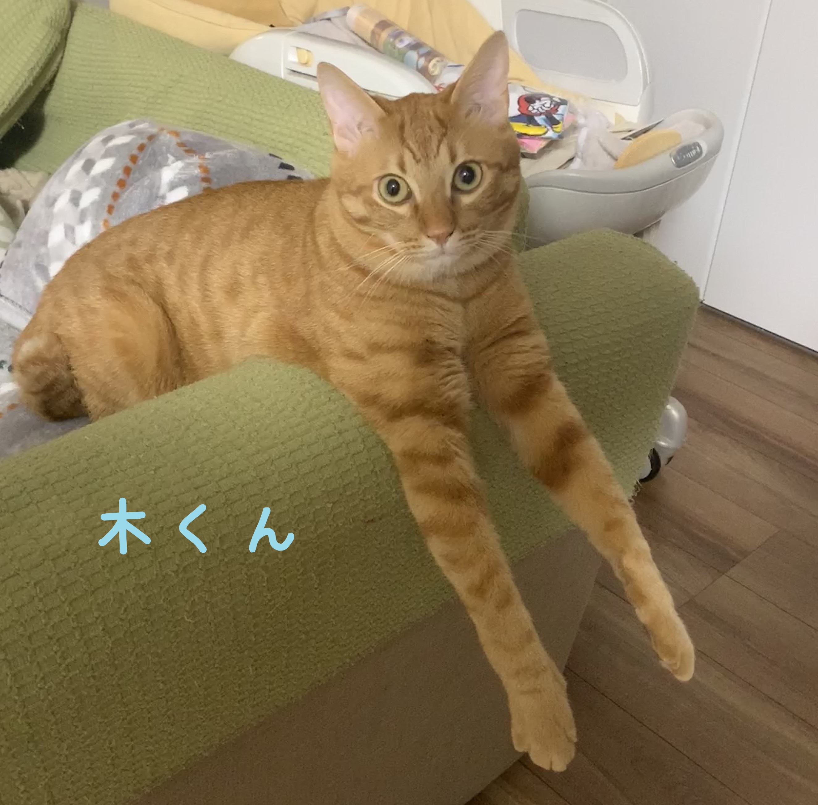 Ƃ