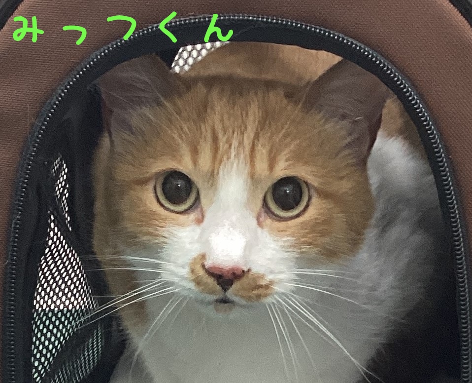 `g
