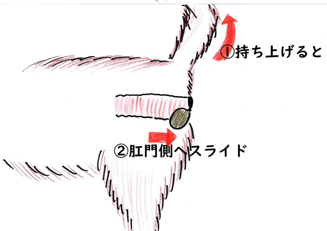 スライド