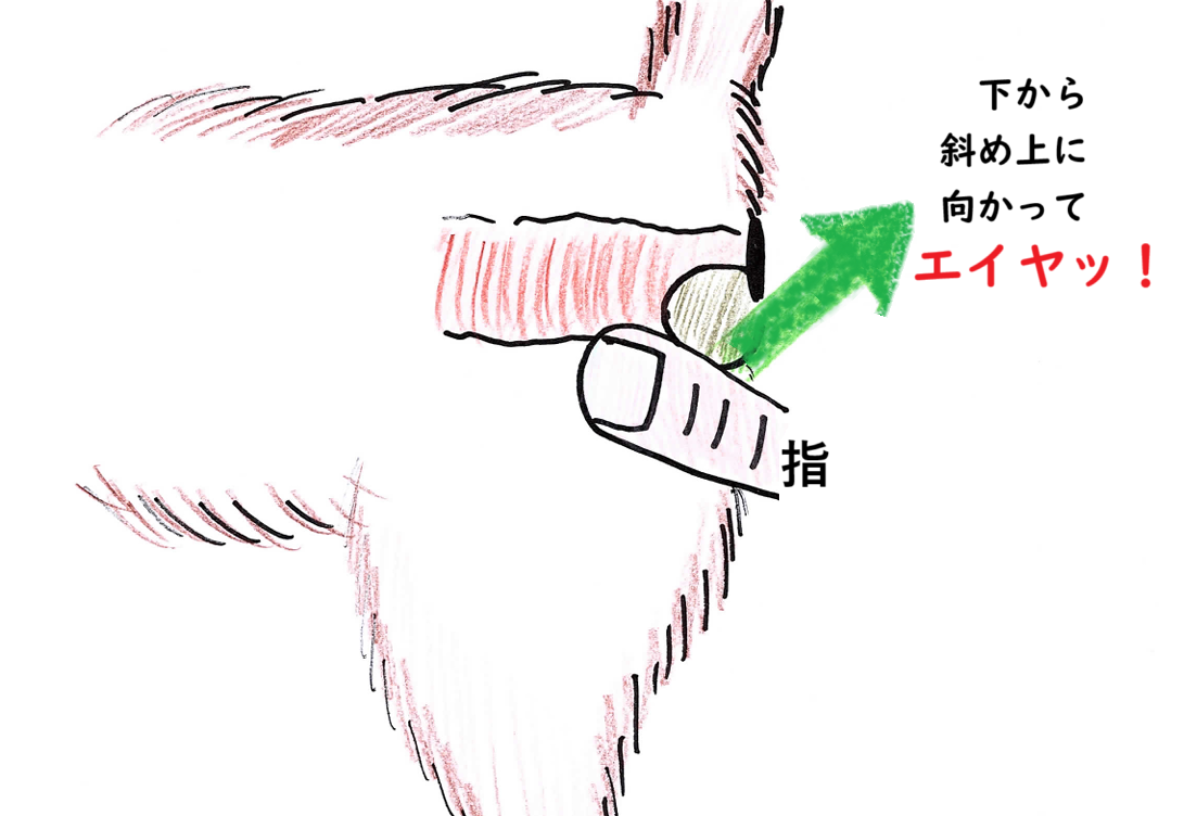 指
