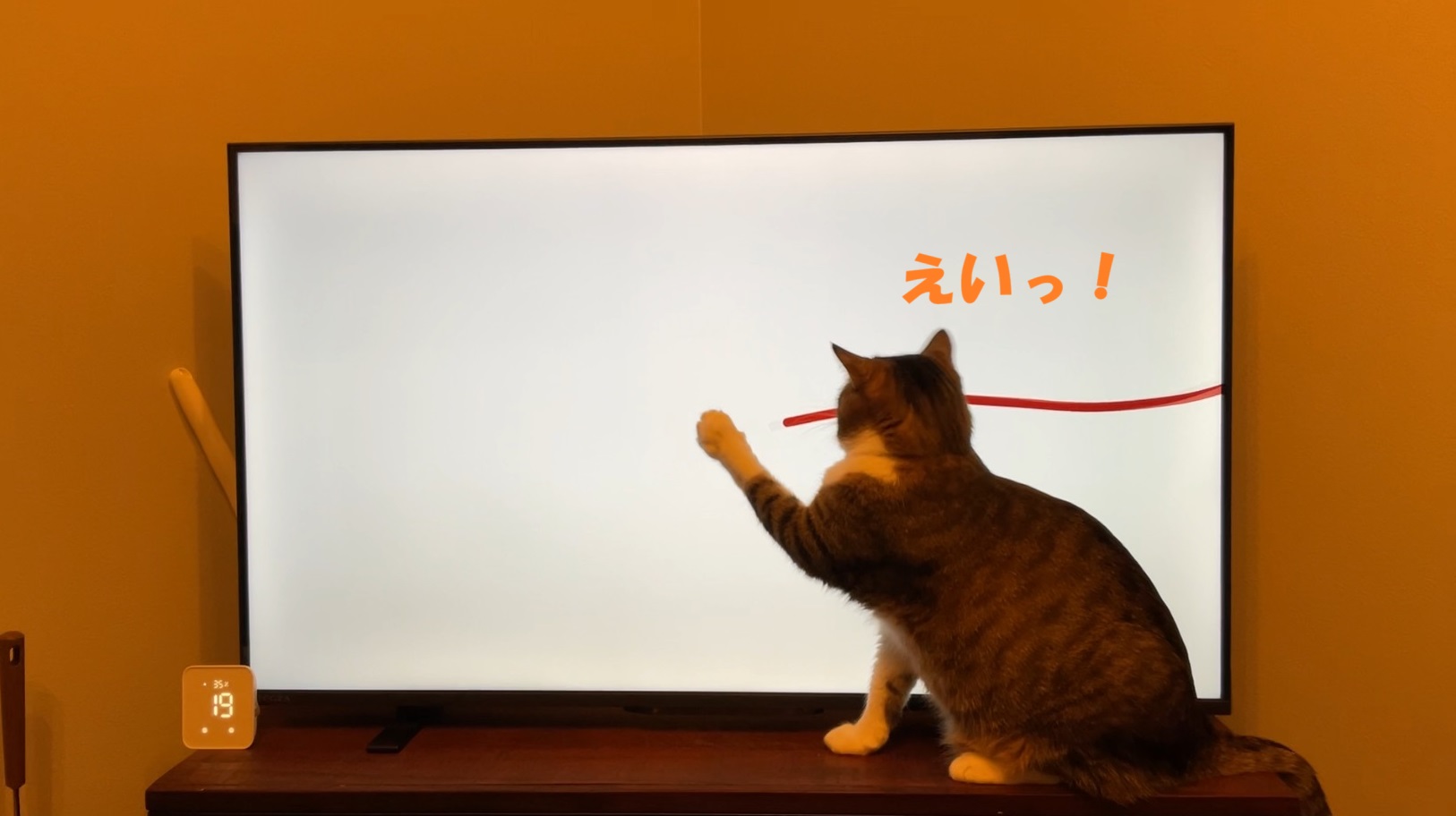 えい