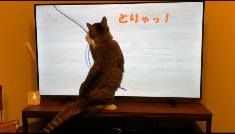 とりゃ