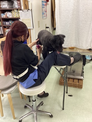 お転婆小池