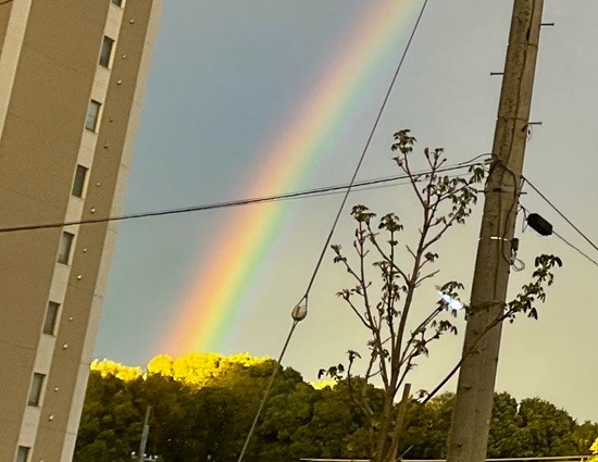 ねもと