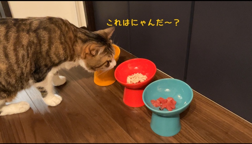 くんくん