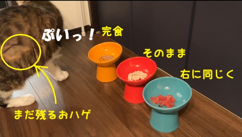 ぷい