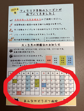 注目ポイント