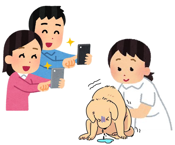 撮影