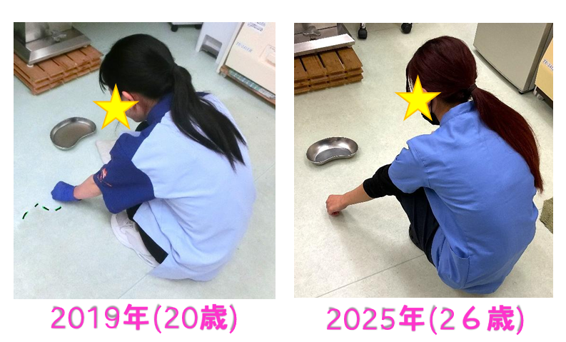 おとなになりました