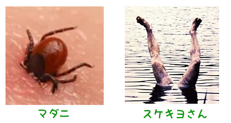 スケキヨ