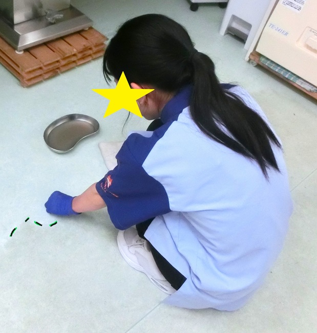 がきんちょ