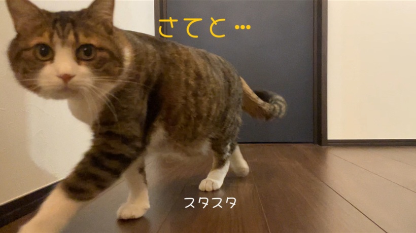 スタスタ