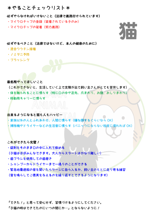 猫
