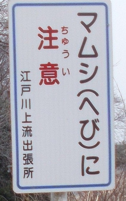 マムシ
