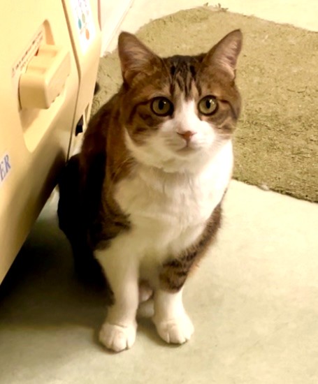 �������킢��