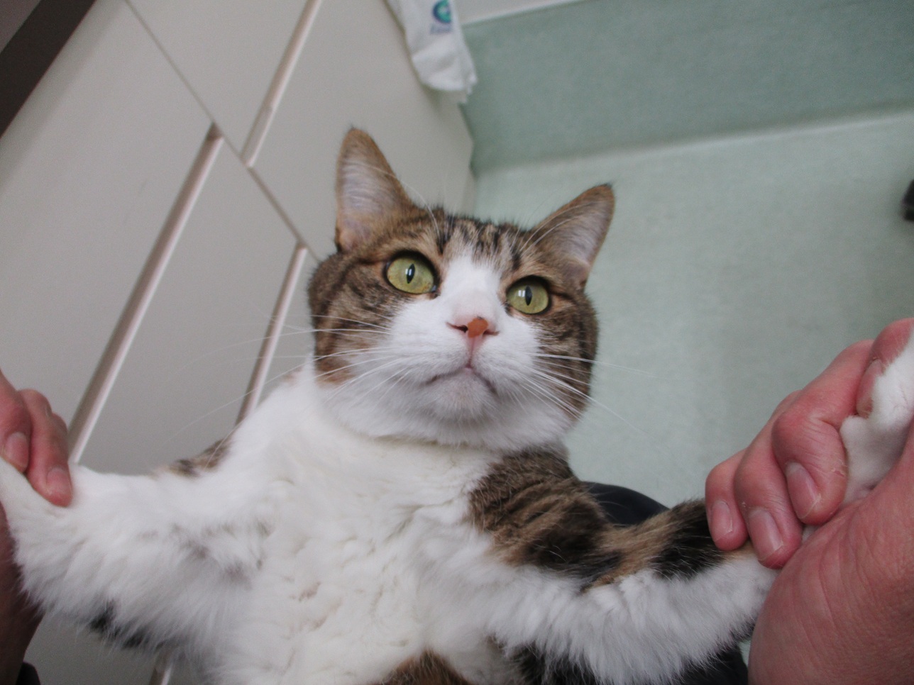 ����͉��̎��ԁH