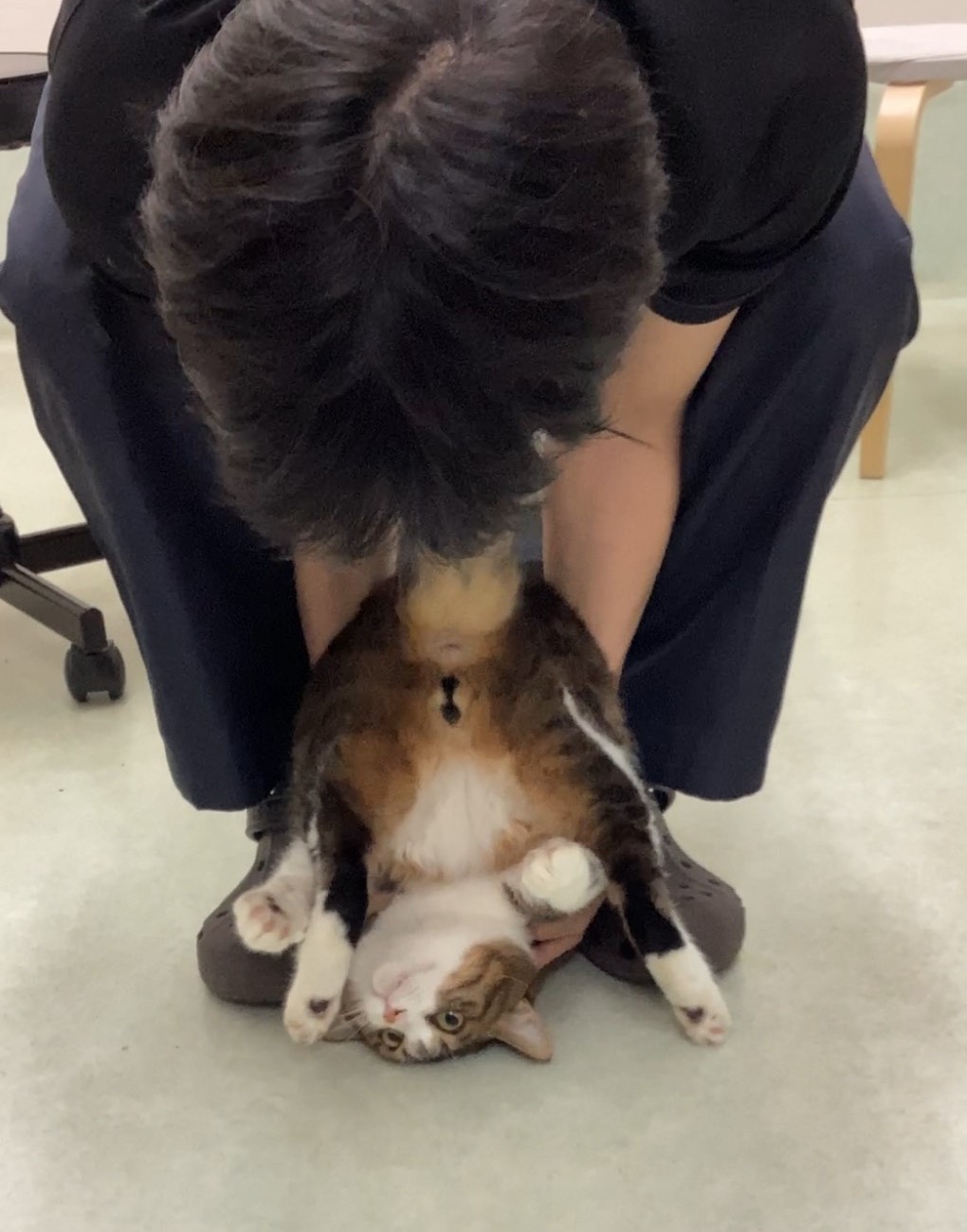 �����牽���Ă�́H