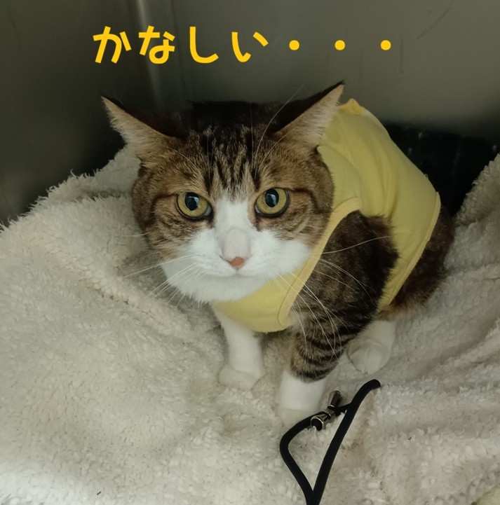 ���Ȃ����E�E�E