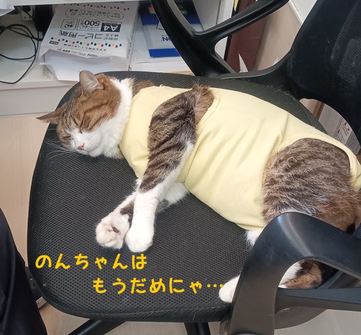 �������߂�