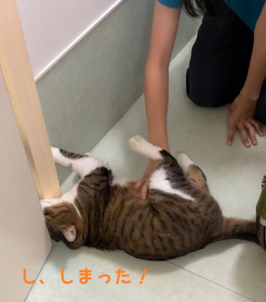 �͂��܂����I
