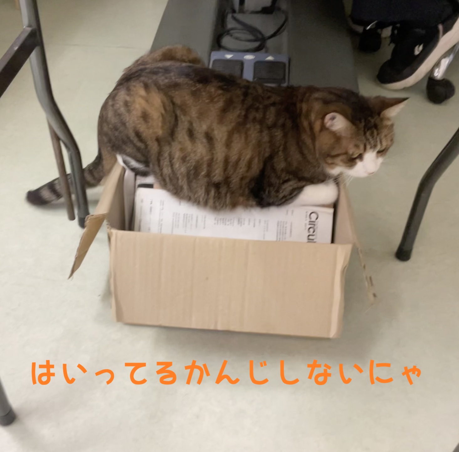 ���d��i