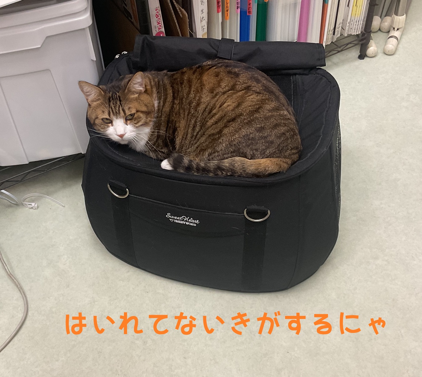 �n�����b�N���