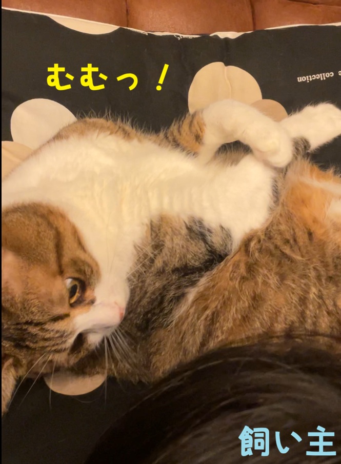 �ނށI