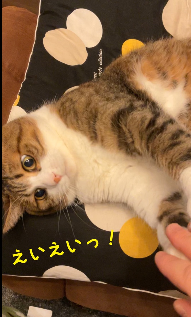 ���������I