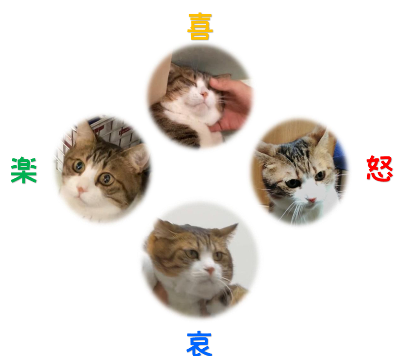 ��{���y