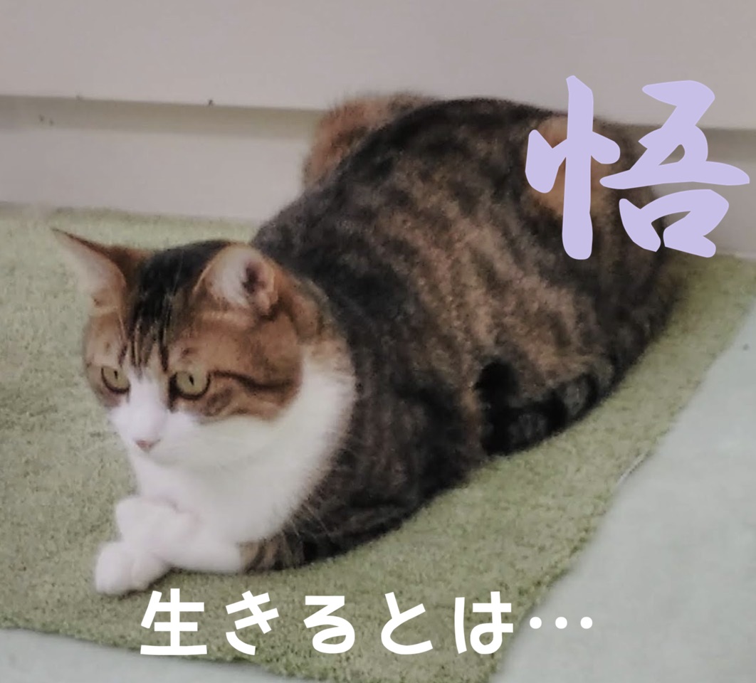 ���