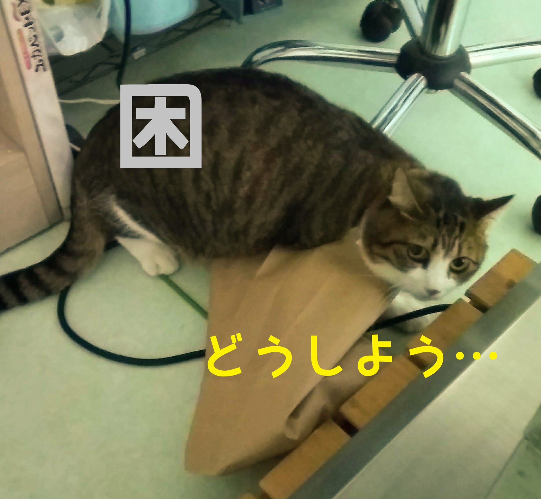 ��