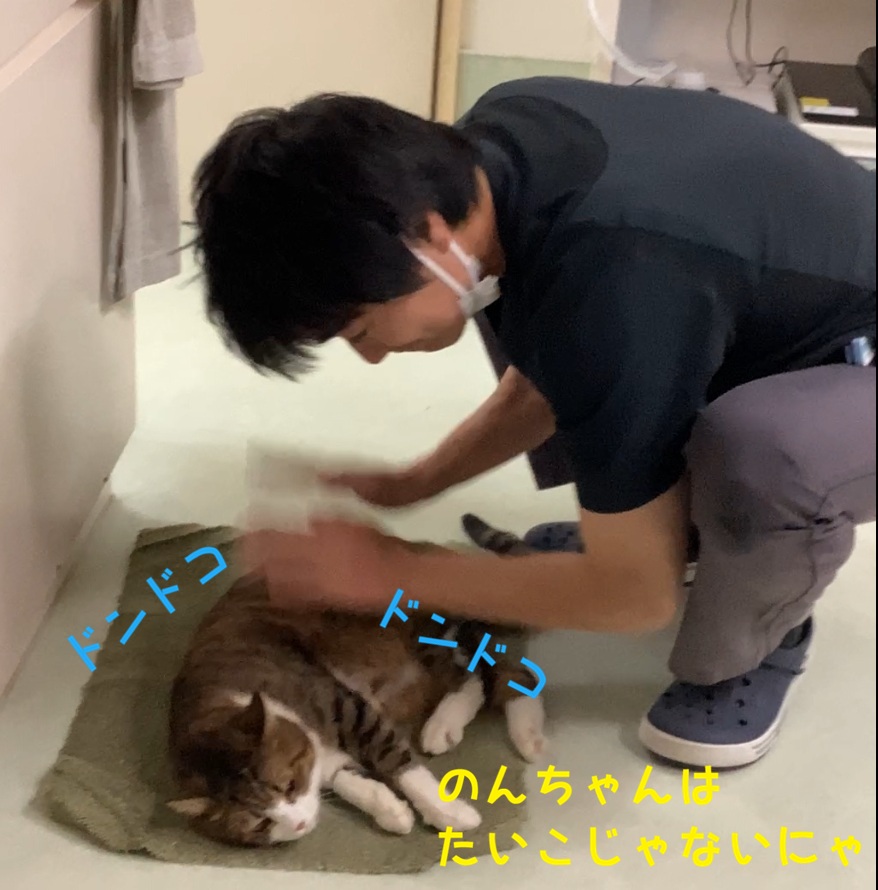 ���ۂ̒B�l