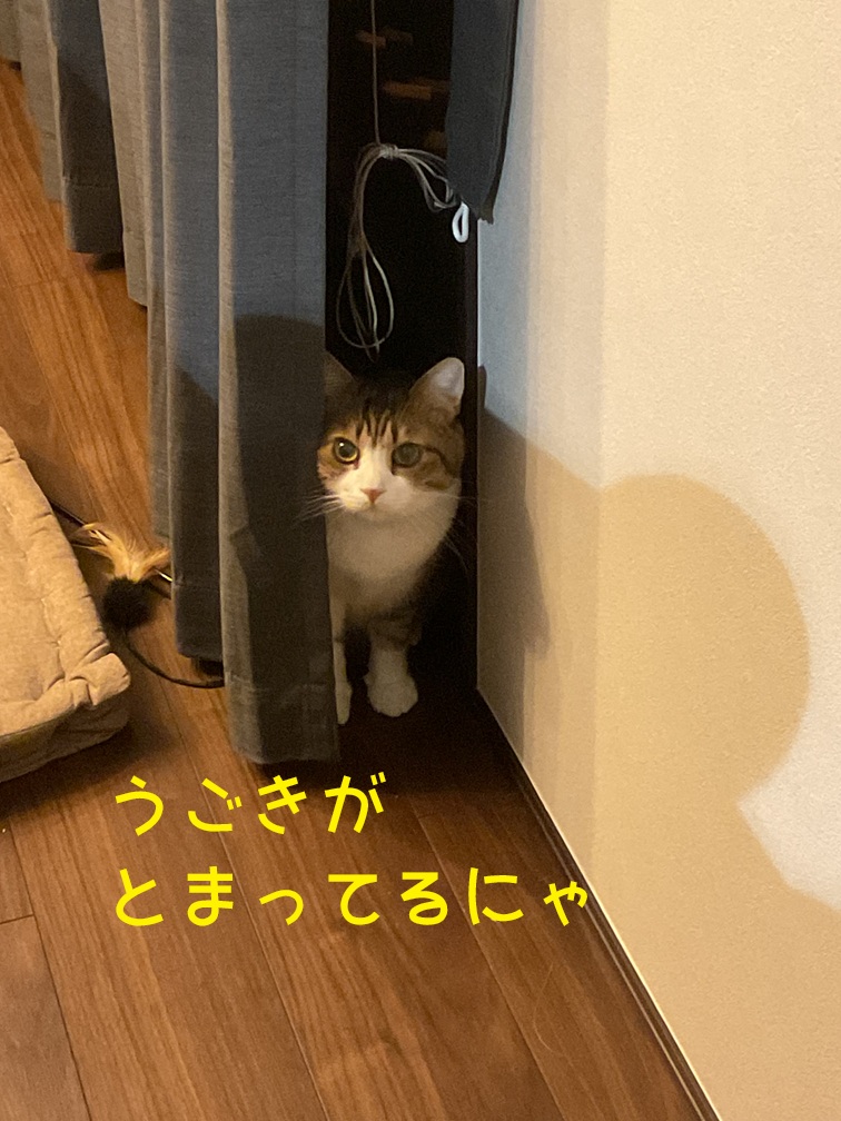 �܂��`�H